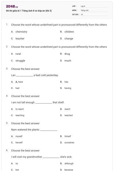 Đề thi giữa kì 1 Tiếng Anh 8 có đáp án (Đề 3)