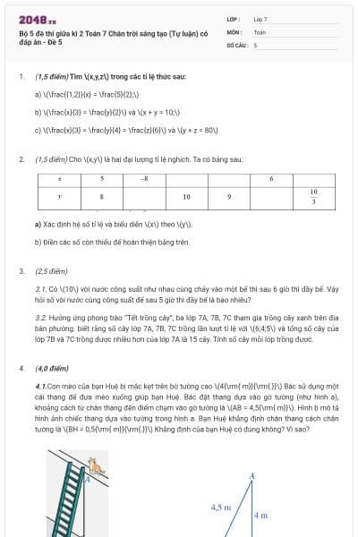 Bộ 5 đề thi giữa kì 2 Toán 7 Chân trời sáng tạo (Tự luận) có đáp án - Đề 5