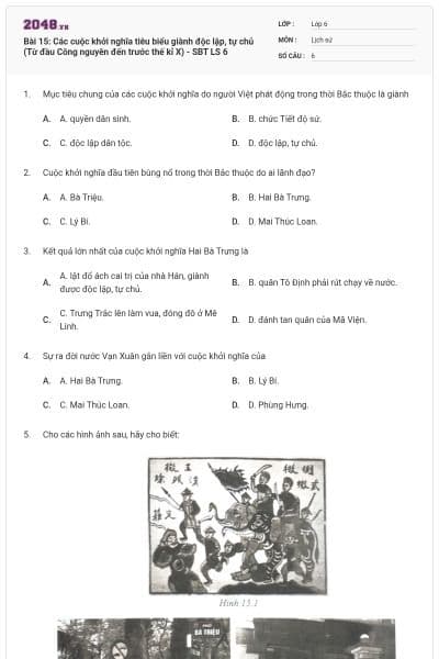Bài 15: Các cuộc khởi nghĩa tiêu biểu giành độc lập, tự chủ (Từ đầu Công nguyên đến trước thế kỉ X) - SBT LS 6