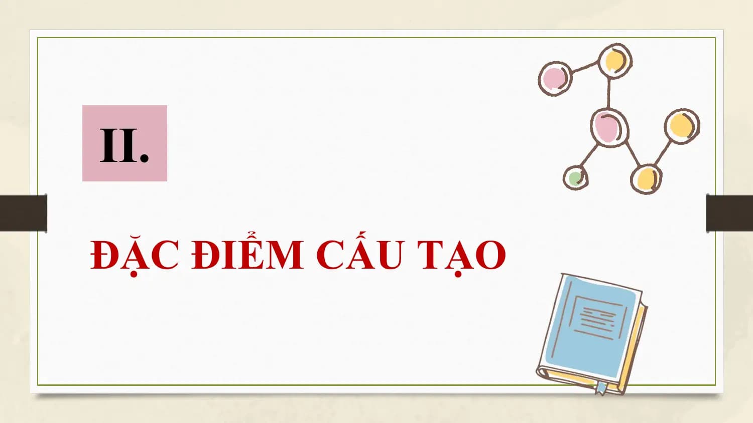 II.

ĐẶC ĐIỂM CẤU TẠO