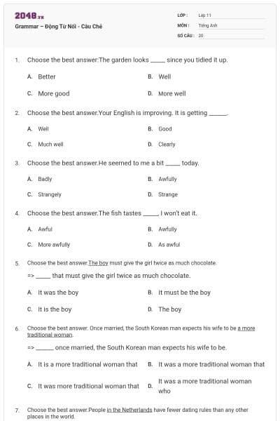 Grammar – Động Từ Nối - Câu Chẻ