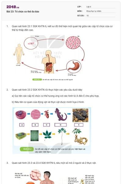Bài 23: Tổ chức cơ thể đa bào