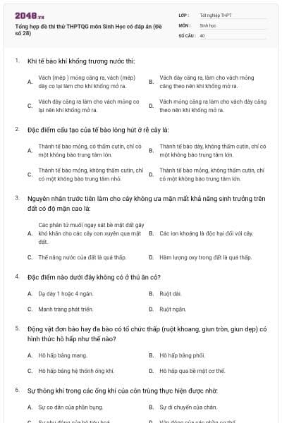 Tổng hợp đề thi thử THPTQG môn Sinh Học có đáp án (Đề số 28)