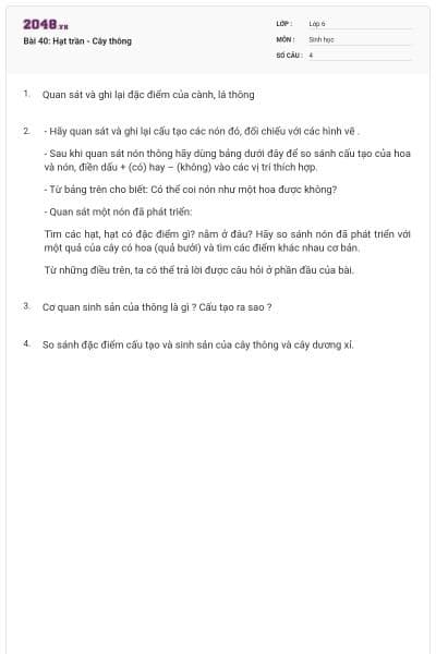 Bài 40: Hạt trần - Cây thông