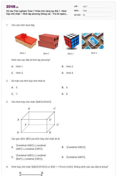 20 câu Trắc nghiệm Toán 7 Chân trời sáng tạo Bài 1. Hình hộp chữ nhật – Hình lập phương (Đúng sai - Trả lời ngắn) có đáp án