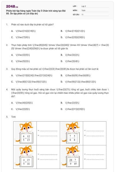 Phiếu bài tập hàng ngày Toán lớp 5 Chân trời sáng tạo Bài 88. Ôn tập phân số (có đáp án)