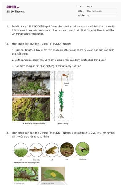 Bài 29: Thực vật