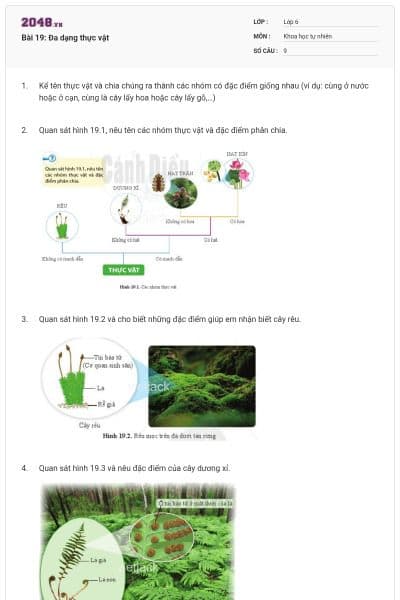 Bài 19: Đa dạng thực vật