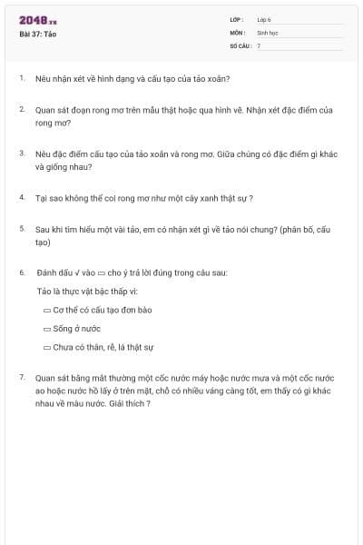 Bài 37: Tảo
