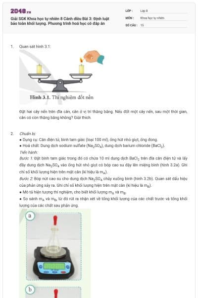 Giải SGK Khoa học tự nhiên 8 Cánh diều Bài 3: Định luật bảo toàn khối lượng. Phương trình hoá học có đáp án