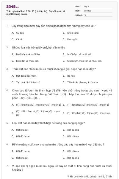 Trắc nghiệm Sinh 6 Bài 11 (có đáp án) : Sự hút nước và muối khoáng của rễ