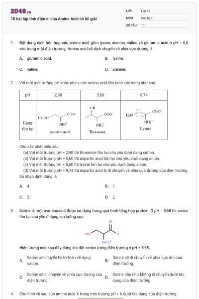10 bài tập tính điện di của Amino Acid có lời giải