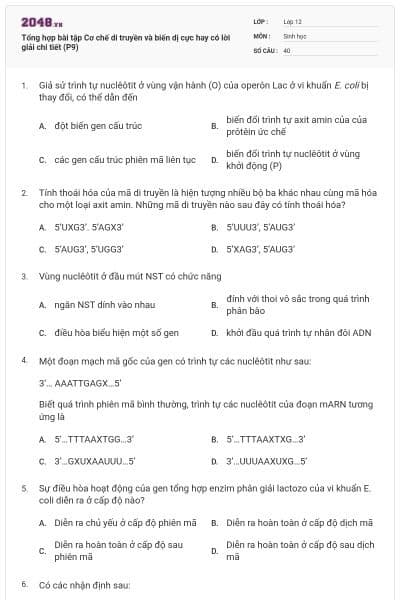Tổng hợp bài tập Cơ chế di truyền và biến dị cực hay có lời giải chi tiết (P9)