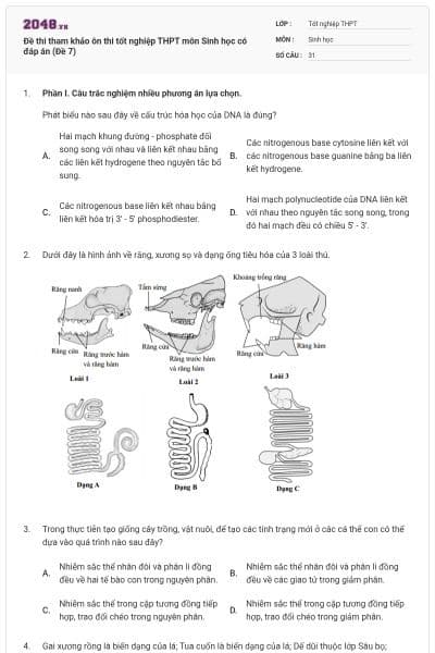 Đề thi tham khảo ôn thi tốt nghiệp THPT môn Sinh học có đáp án (Đề 7)