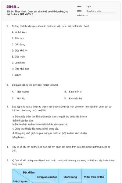 Bài 24: Thực hành: Quan sát và mô tả cơ thể đơn bào, cơ thể đa bào- SBT KHTN 6