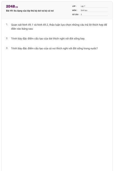 Bài 49: Đa dạng của lớp thú bộ dơi và bộ cá voi