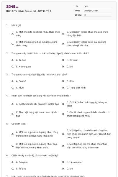 Bài 13: Từ tế bào đến cơ thể - SBT KHTN 6