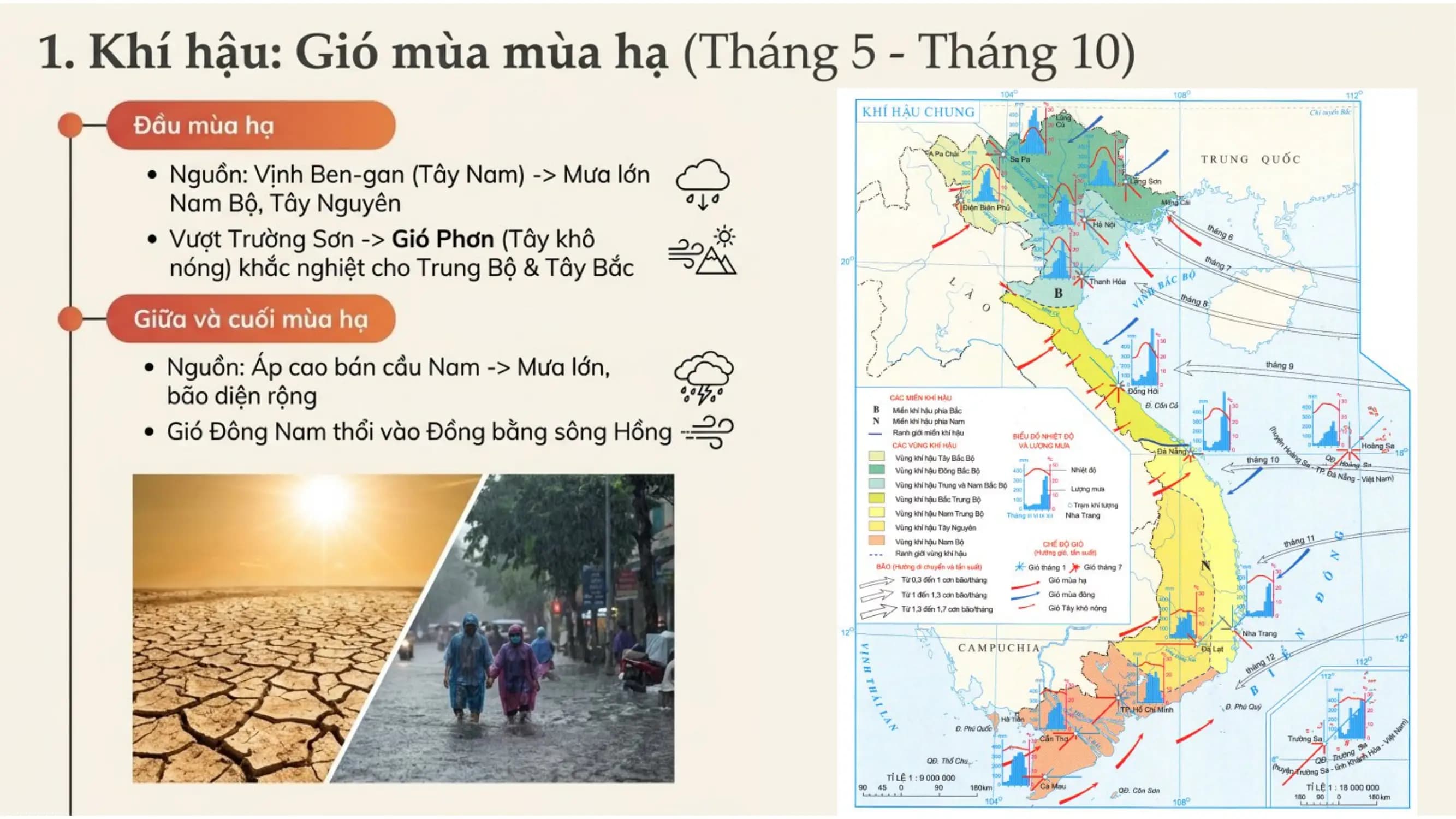 Nội dung nhập