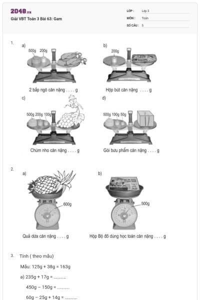 Giải VBT Toán 3 Bài 63: Gam