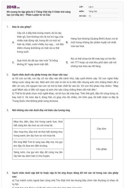 Đề cương ôn tập giữa kì 2 Tiếng Việt lớp 5 Chân trời sáng tạo (có đáp án) - Phần Luyện từ và Câu