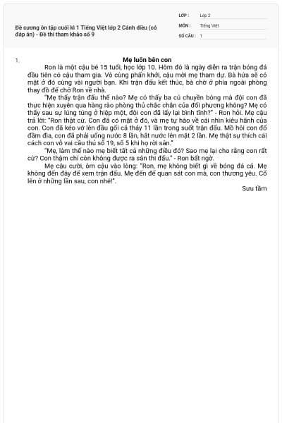 Đề cương ôn tập cuối kì 1 Tiếng Việt lớp 2 Cánh diều (có đáp án) - Đề thi tham khảo số 9