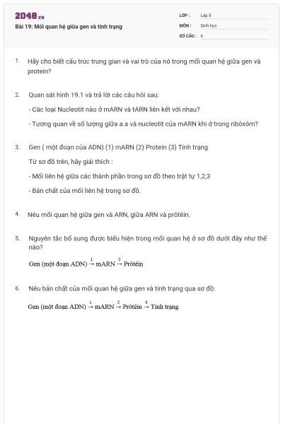 Bài 19: Mối quan hệ giữa gen và tính trạng