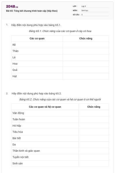 Bài 65: Tổng kết chương trình toàn cấp (tiếp theo)