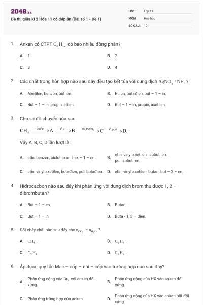 Đề thi giữa kì 2 Hóa 11 có đáp án (Bài số 1 - Đề 1)