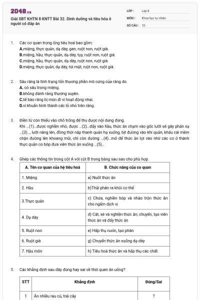 Giải SBT KHTN 8 KNTT Bài 32. Dinh dưỡng và tiêu hóa ở người có đáp án