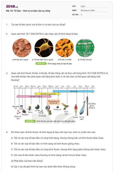 Bài 18: Tế bào – Đơn vị cơ bản của sự sống