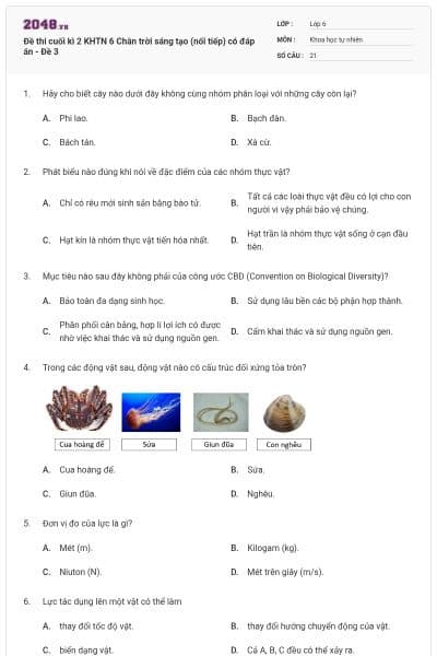 Đề thi cuối kì 2 KHTN 6 Chân trời sáng tạo (nối tiếp) có đáp án - Đề 3