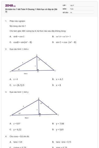 Đề kiểm tra 1 tiết Toán 9 Chương 1 Hình học có đáp án (Đề 3)