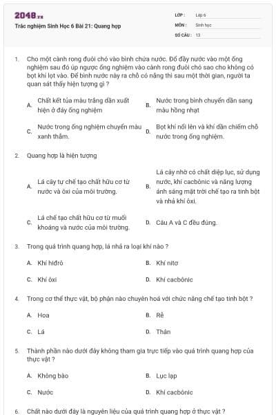 Trắc nghiệm Sinh Học 6 Bài 21: Quang hợp