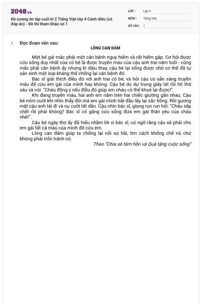 Đề cương ôn tập cuối kì 2 Tiếng Việt lớp 4 Cánh diều (có đáp án) - Đề thi tham khảo số 1