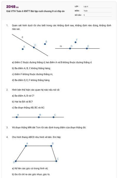 Giải VTH Toán 6 KNTT Bài tập cuối chương 8 có đáp án