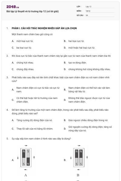 Bài tập Lý thuyết về từ trường lớp 12 (có lời giải)