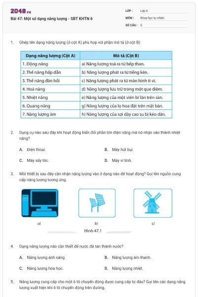 Bài 47: Một số dạng năng lượng - SBT KHTN 6