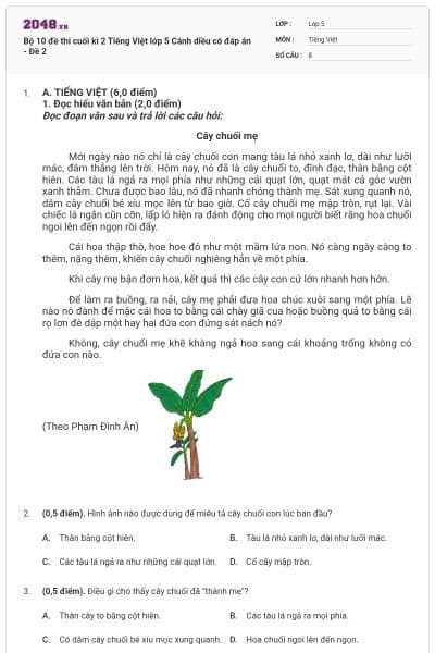 Bộ 10 đề thi cuối kì 2 Tiếng Việt lớp 5 Cánh diều có đáp án - Đề 2