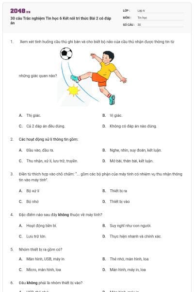 30 câu Trắc nghiệm Tin học 6 Kết nối tri thức Bài 2 có đáp án