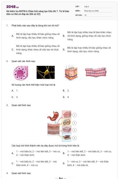 Đề kiểm tra KHTN 6 Chân trời sáng tạo Chủ đề 7. Từ tế bào đến cơ thể có đáp án (Đề số 32)