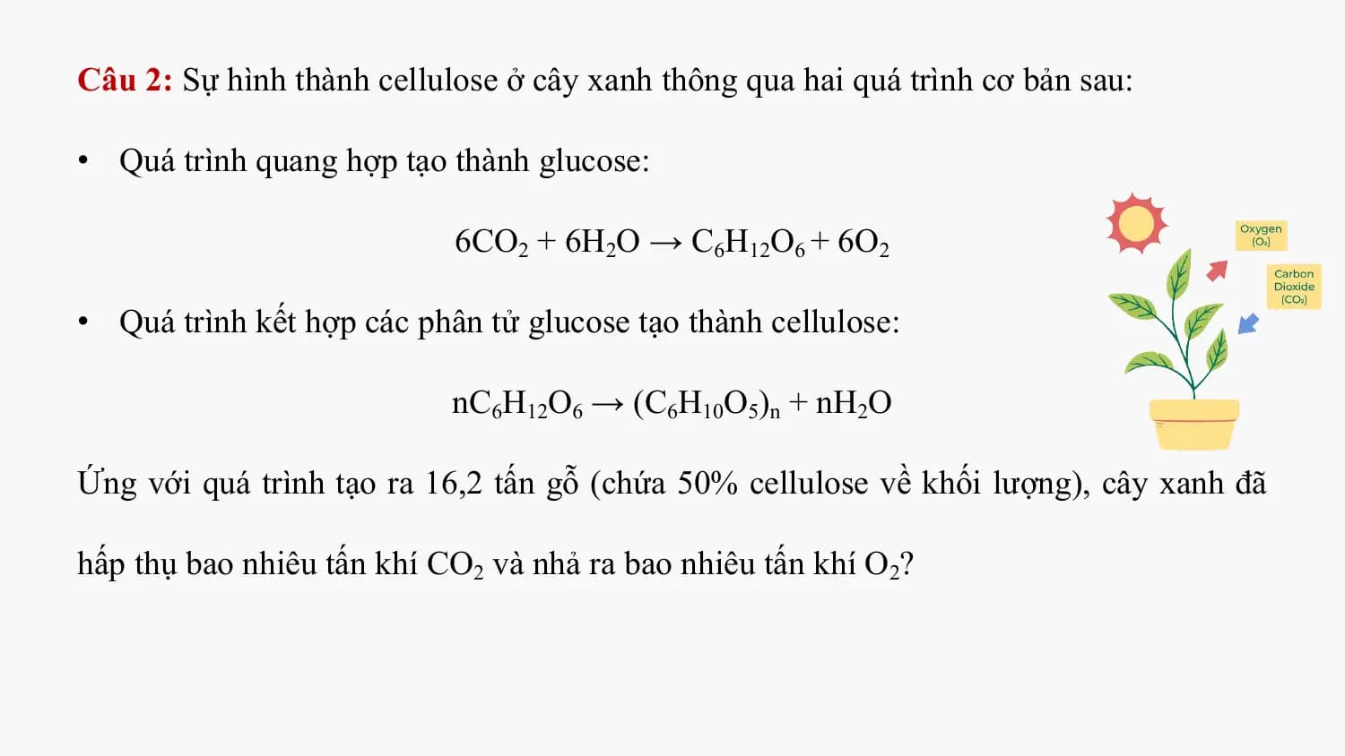 Câu 2: Sự hình thành cellulose ở cây xanh thông qua hai quá trình cơ bản sau:

• Quá trình quang hợp tạo thành glucose:

 6CO2 + 6H2O → C6H12O6 + 6O2

• Quá trình kết hợp các phân tử glucose tạo thành cellulose:

 nC6H12O6 → (C6H10O5)n + nH2O

Ứng với quá trình tạo ra 16,2 tấn gỗ (chứa 50% cellulose về khối lượng), cây xanh đã

hấp thụ bao nhiêu tấn khí CO2 và nhả ra bao nhiêu tấn khí O2?