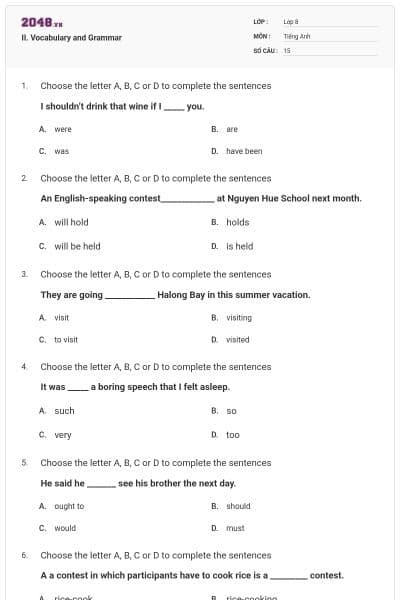 II. Vocabulary and Grammar