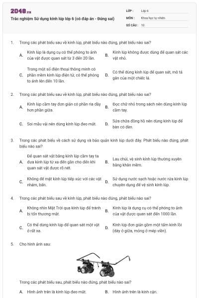 Trắc nghiệm Sử dụng kính lúp lớp 6 (có đáp án - Đúng sai)