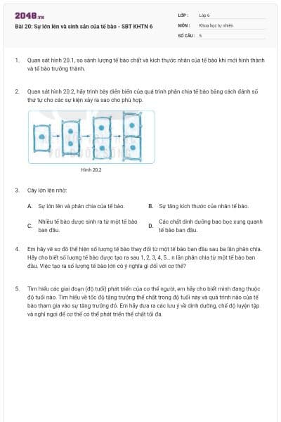 Bài 20: Sự lớn lên và sinh sản của tế bào - SBT KHTN 6