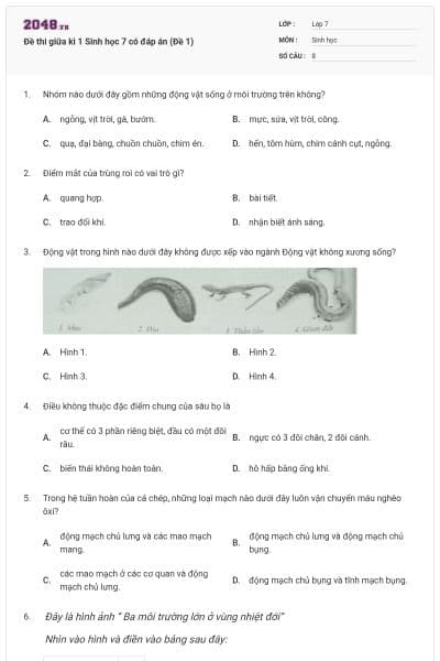Đề thi giữa kì 1 Sinh học 7 có đáp án (Đề 1)
