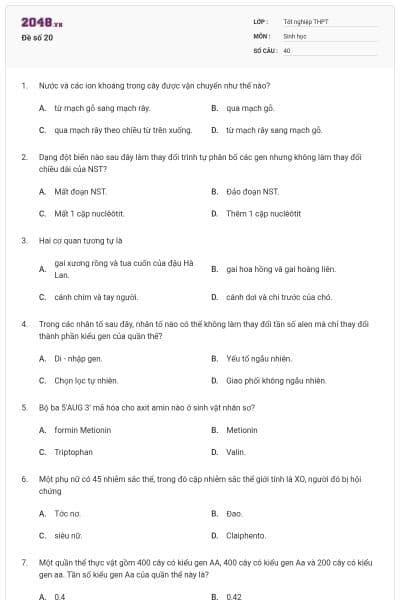 Đề số 20