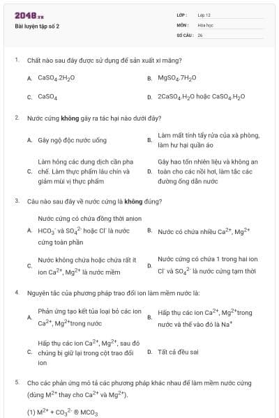 Bài luyện tập số 2