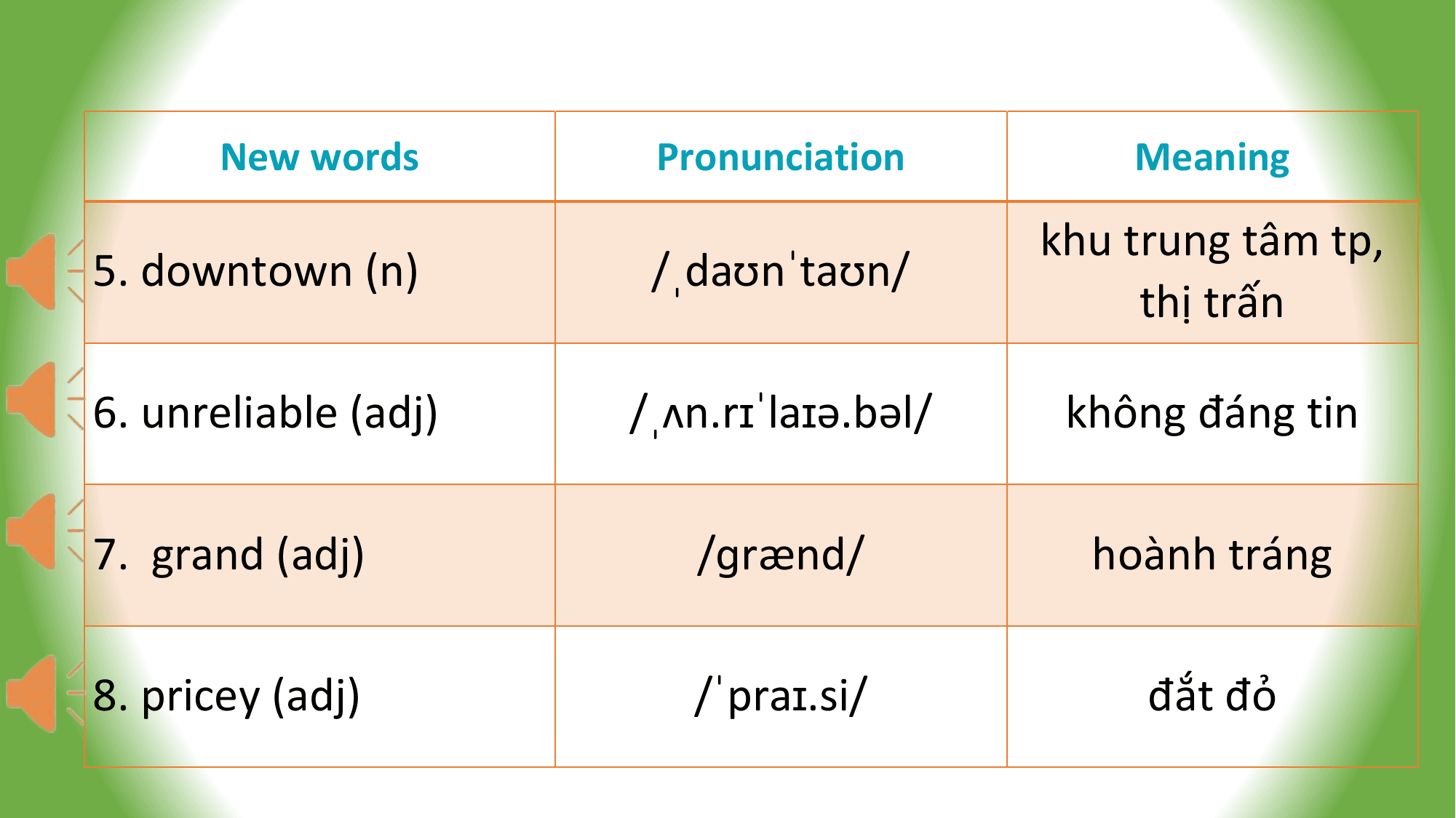 New words Pronunciation Meaning
 khu trung tâm tp,
5. downtown (n) /ˌdaʊnˈtaʊn/
 thị trấn

6. unreliable (adj) /ˌʌn.rɪˈlaɪə.bəl/ không đáng tin

7. grand (adj) /ɡrænd/ hoành tráng

8. pricey (adj) /ˈpraɪ.si/ đắt đỏ