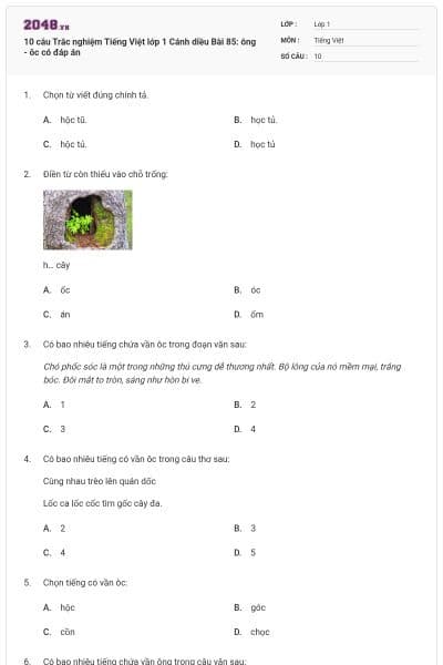 10 câu Trắc nghiệm Tiếng Việt lớp 1 Cánh diều Bài 85: ông - ôc có đáp án