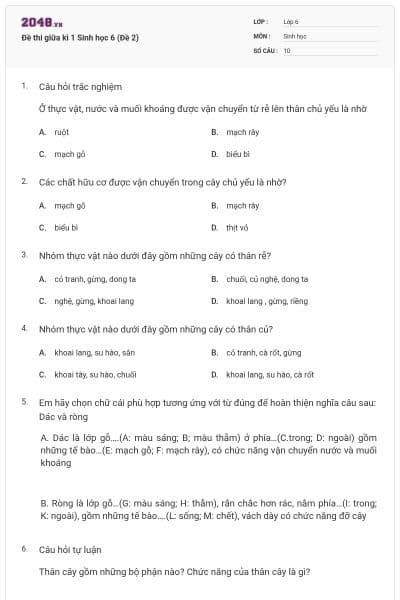 Đề thi giữa kì 1 Sinh học 6 (Đề 2)
